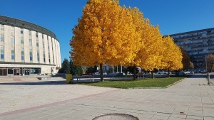 20211026_121646